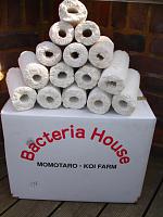     
: bacteria-house-media.jpg
: 517
:	135.8 
ID:	352446