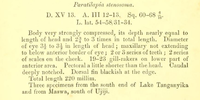     
: 580e575dac467_Hemibatesstenosoma.png.46c42e69e5073d09c16be4cc5ad0e2ab.png
: 380
:	229.6 
ID:	631115