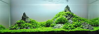     
: Aquascaping-minilandschaft-lennart.jpg
: 651
:	109.3 
ID:	537823