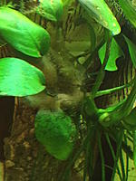     
: image1.JPG
: 323
:	111.9 
ID:	590173