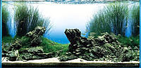     
: mantenimiento-e-instalacion-de-acuario-516411-MCO20567948231_012016-F.jpg
: 1029
:	186.1 
ID:	540162