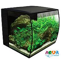     
: akvarium-fluval-flex-57-l-hagen-e1504784550359.jpg
: 142
:	133.7 
ID:	671993