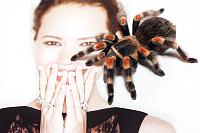     
: smithi.jpg
: 456
:	432.5 
ID:	142126