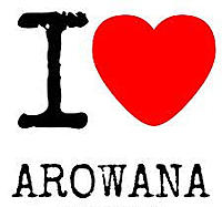     
: i_love_arowana.jpg
: 298
:	32.3 
ID:	393618