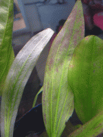     
: 011.gif
: 1109
:	145.0 
ID:	23743