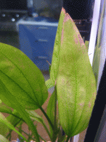     
: 012.gif
: 925
:	128.2 
ID:	23744