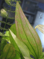     
: 013.gif
: 958
:	135.4 
ID:	23745