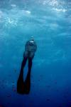   FreeDIVER