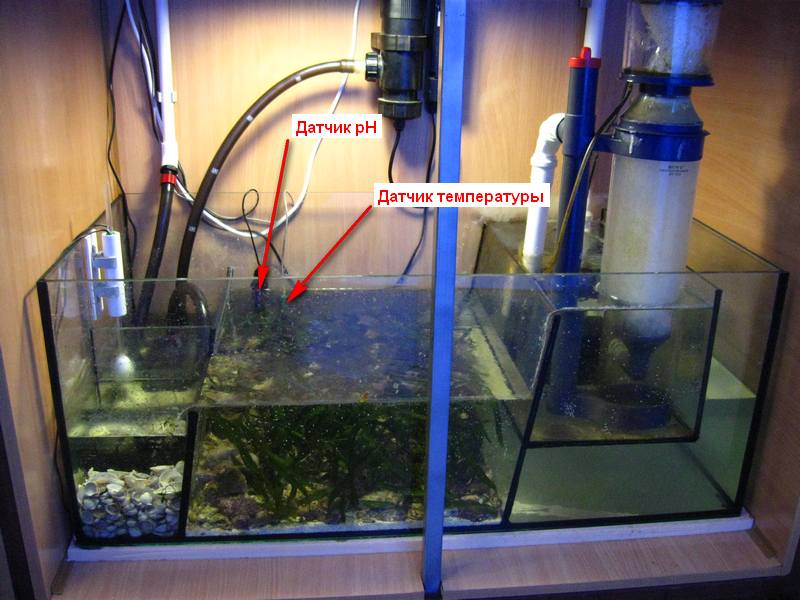 Как выбрать аквариумный обогреватель