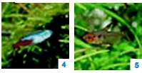 :  step6_1-2.jpg
: 4523

:  22,0 
