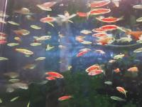 :  small_10-04-07_1455.jpg.jpg
: 579

:  7,2 