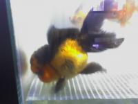 :  small_04-06-07_1457.jpg.jpg
: 553

:  4,7 