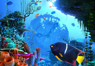 :  coralclock_screen.jpg
: 421

:  25,1 