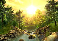 :  nature_screen.jpg
: 379

:  12,1 