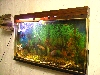 :  PICT1871.jpg
: 830

:  32,7 