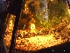 :  PICT2655.jpg
: 681

:  32,7 