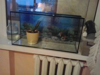 �����:  I0HwjZaOjoE.jpg
���������: 176

�����:  8,0 ��