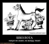 :  i (2).jpg
: 389

:  6,9 