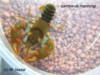 Назва: image10771.jpg
Переглядів: 1389
Розмір: 7,1 КБ