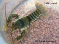 Назва: image10701.jpg
Переглядів: 1433
Розмір: 6,2 КБ