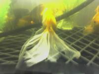 Назва: small_09-05-07_1306.jpg.jpg
Переглядів: 684
Розмір: 5,3 КБ