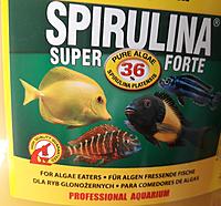     
: spirulina.jpg
: 199
:	427.7 
ID:	634904