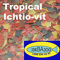     
: Tropical Ichtio-vit.jpg
: 114
:	259.5 
ID:	654488