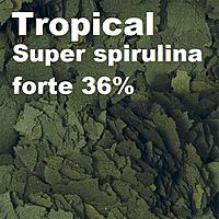     
: Tropical Super spirulina forte 36%.jpg
: 339
:	125.1 
ID:	655511