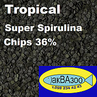 Нажмите на изображение для увеличения
Название: Tropical Chips 36%.jpg
Просмотров: 1265
Размер:	220.5 Кб
ID:	659835