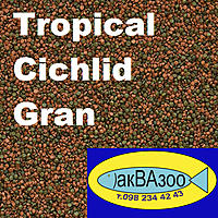 Нажмите на изображение для увеличения
Название: Tropical Cichlid Gran+лог.jpg
Просмотров: 1237
Размер:	348.0 Кб
ID:	665591