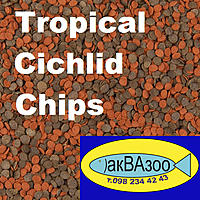     
: Tropical Cichlid Chips+.jpg
: 1297
:	303.0 
ID:	665592