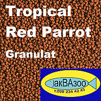     
: TROPICAL RED PARROT GRANULAT+.jpg
: 1210
:	358.6 
ID:	667326