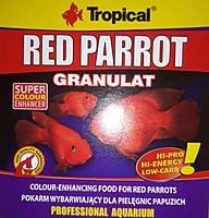     
: Tropical Red Parrot.jpg
: 130
:	288.0 
ID:	667328