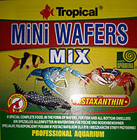     
: Tropical Mini Wafers Mix 500.jpg
: 117
:	360.0 
ID:	667329