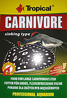     
: Tropical Carnivore  tabl..jpg
: 119
:	356.4 
ID:	667335