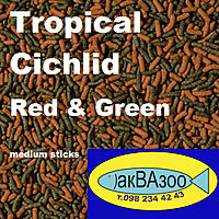 Нажмите на изображение для увеличения
Название: Tropical Cichlid Red & Green medium sticks.jpg
Просмотров: 1248
Размер:	297.8 Кб
ID:	668568