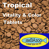 Нажмите на изображение для увеличения
Название: Tropical Vitality & Color Tablets.jpg
Просмотров: 1001
Размер:	267.4 Кб
ID:	670463