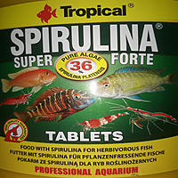     
: Tropical Super Spirulina  tablets 36%j ..jpg
: 134
:	721.5 
ID:	670596