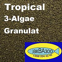 Нажмите на изображение для увеличения
Название: Tropical 3-Algae Granulat.jpg
Просмотров: 403
Размер:	185.2 Кб
ID:	680787