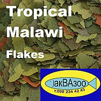 Нажмите на изображение для увеличения
Название: Tropical Malawi Flakes.jpg
Просмотров: 362
Размер:	132.1 Кб
ID:	680790