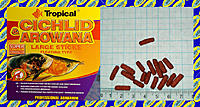     
: Tropical Cichlid&Arowana Large.jpg
: 136
:	750.3 
ID:	680936