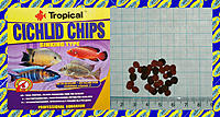     
: Tropical Cichlid Chips.jpg
: 148
:	787.0 
ID:	680942