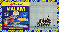     
: Tropical Malawi Chips.jpg
: 158
:	782.0 
ID:	680947
