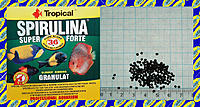     
: Tropical Super Spirulina Granulat.jpg
: 142
:	783.3 
ID:	680948