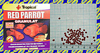     
: Tropical Red Parrot.jpg
: 147
:	725.4 
ID:	680952