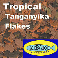 Нажмите на изображение для увеличения
Название: Tropical Tanganyika Flakes.jpg
Просмотров: 106
Размер:	303.7 Кб
ID:	682509