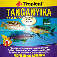     
: .Tropical Tanganyika Flakes.jpg
: 86
:	304.8 
ID:	682850