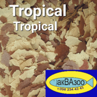     
: Tropical Tropical_500x500.png
: 95
:	455.7 
ID:	693781