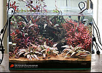     
: danish-style-aquarium-dragons-sunset.jpg
: 341
:	213.3 
ID:	477068