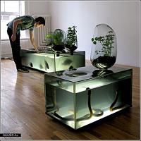     
: plant_aquarium2.jpg
: 330
:	58.8 
ID:	116946